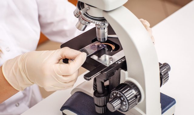 STEM: An Overview